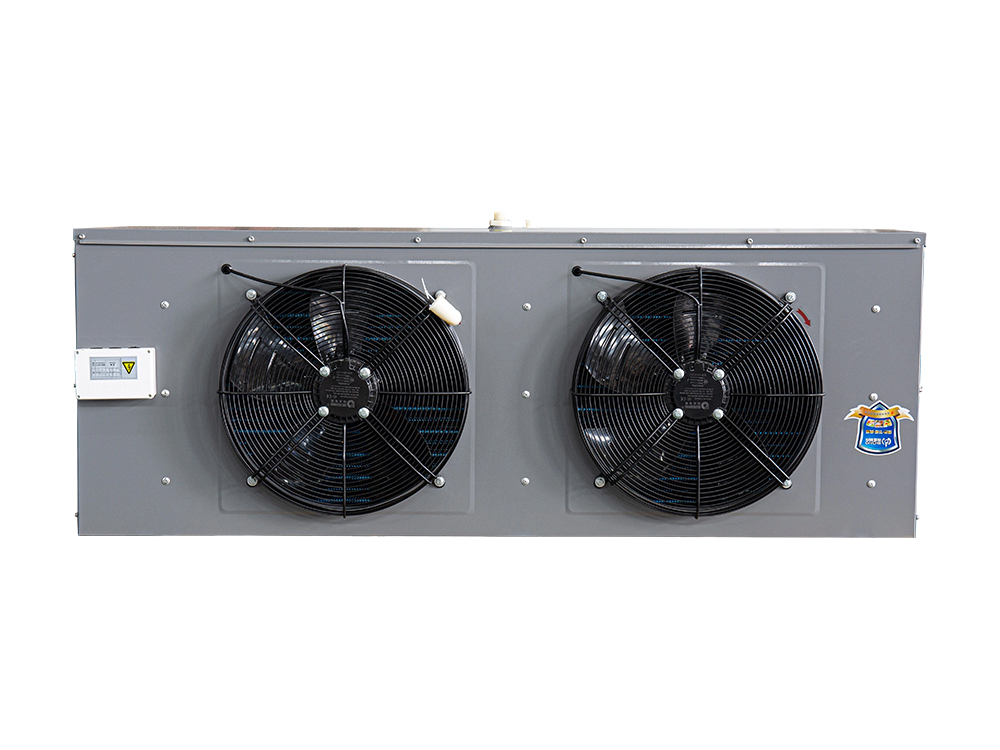 DL two motor Electric defrosting air cooler