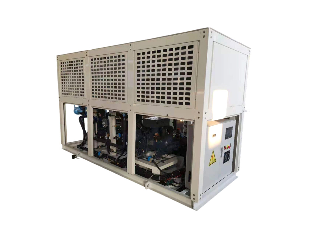 Single-machine customized screw compressor unit